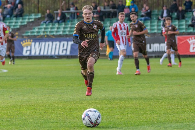 高质量的内 高质量的内